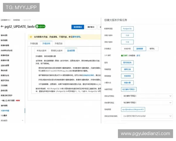 如何通过pgst官网获取最新资源和优质服务的实用技巧分享